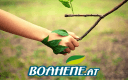 Boahene coupon codes