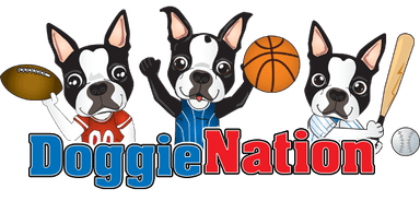 DoggieNation coupon codes