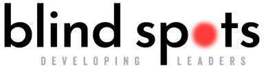 Blindspots.com coupon codes