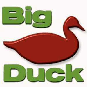 Bigduckcanvas coupon codes